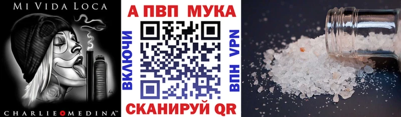 дарнет шоп mega вход A PVP Соль Бородино