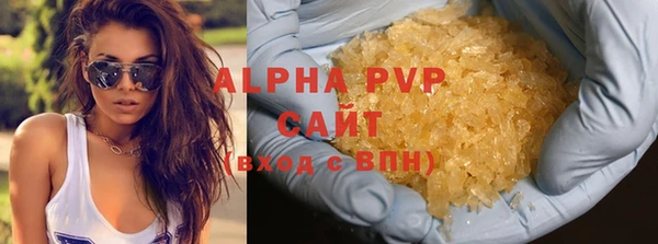ГАЛЛЮЦИНОГЕННЫЕ ГРИБЫ Белокуриха