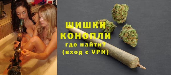 крисы Богородицк