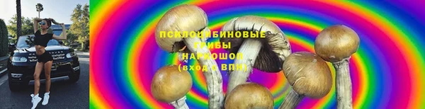 дмт Богородск