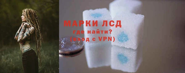 ГАЛЛЮЦИНОГЕННЫЕ ГРИБЫ Белокуриха
