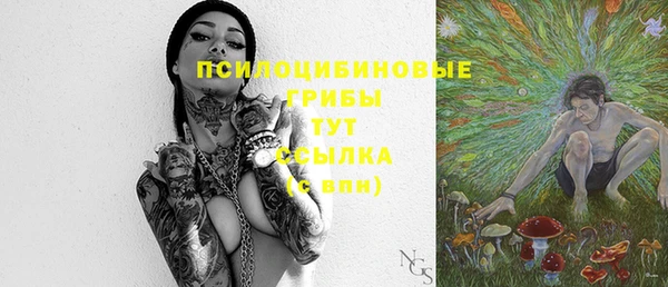 дмт Богородск