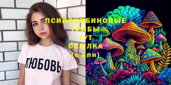 дмт Богородск
