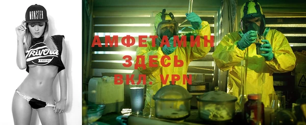 крисы Богородицк