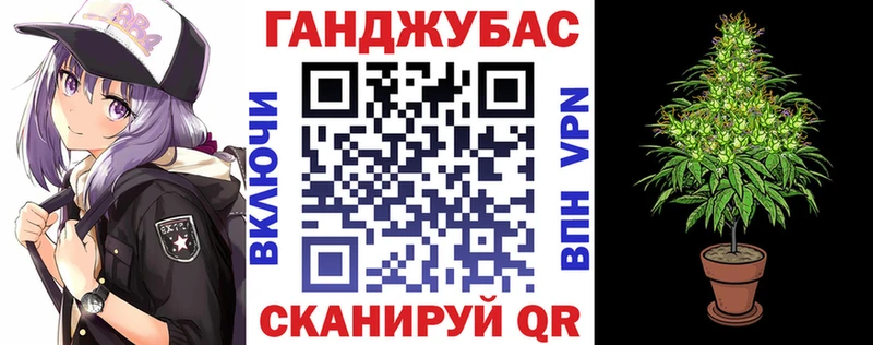 Бошки марихуана сатива  где можно купить наркотик  Бородино 